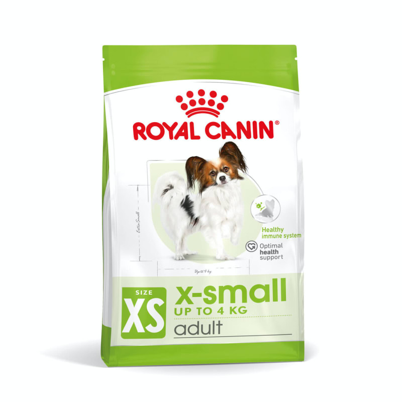 Royal teacup dog discount