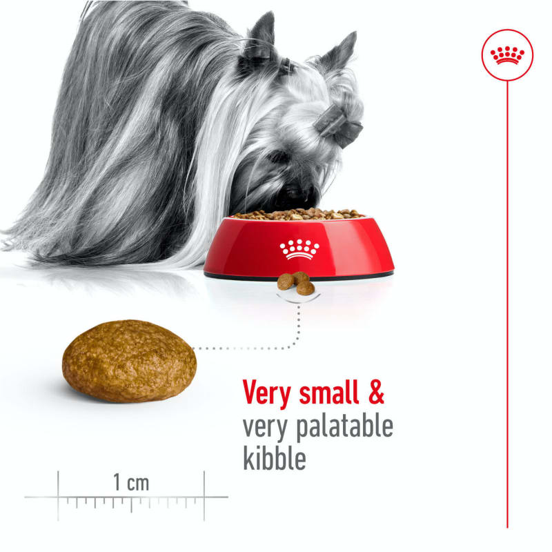 Royal canin x small adulte sales