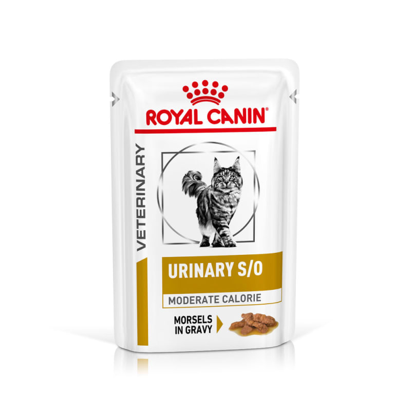 Royal canin so index foods shop