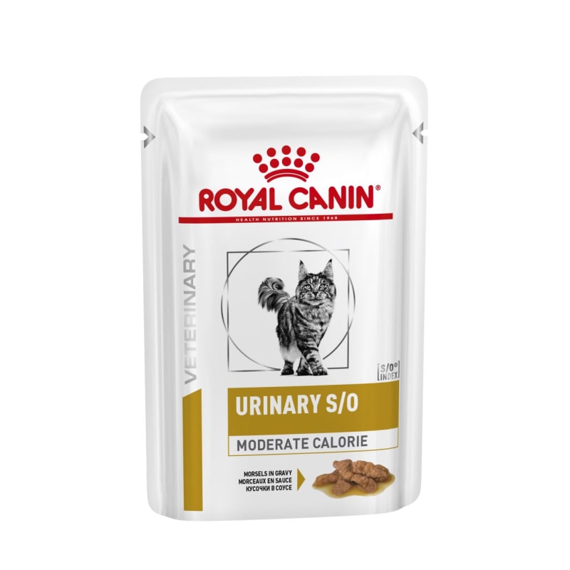 Royal canin cat food calories 2025