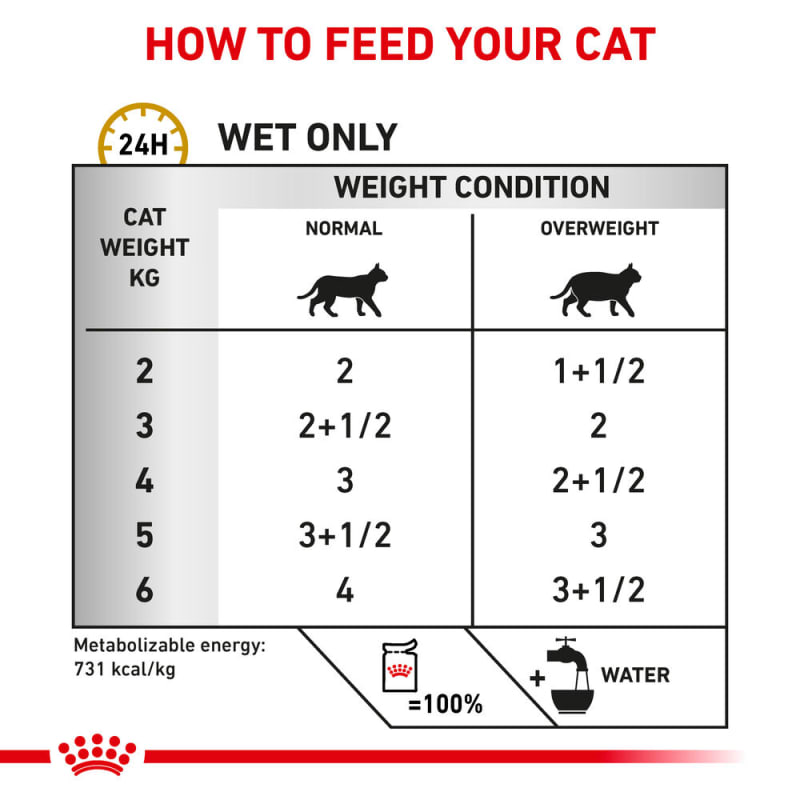 Royal canin cat food calories shop