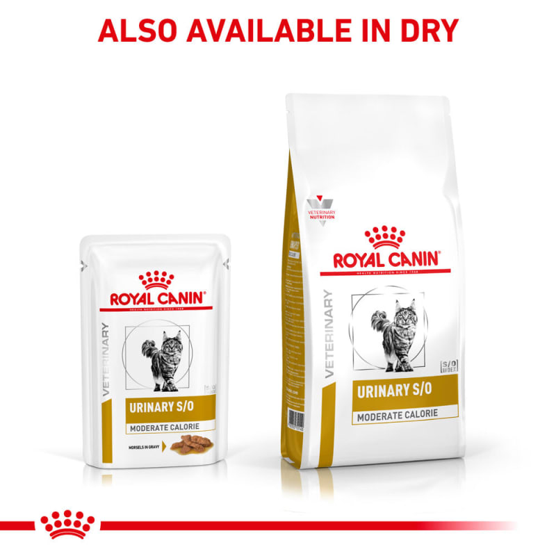 Royal canin moderate outlet calorie feline