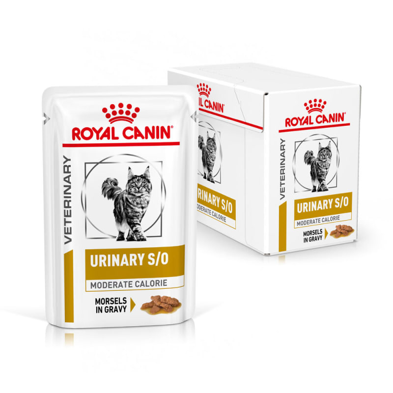 Royal Canin Veterinary Health Nutrition Urinary S O Moderate Calorie Adult Cat Wet Food 12 x 85g Morsels in Gravy