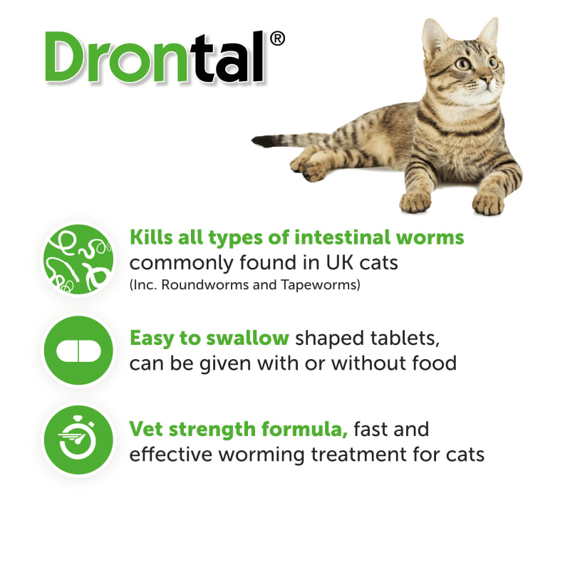 Drontal tablets sale for cats