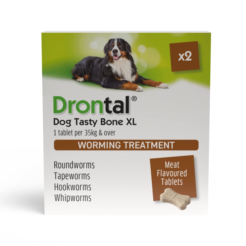 Drontal Tasty Bone XL Wormer Tablets Pet Supermarket