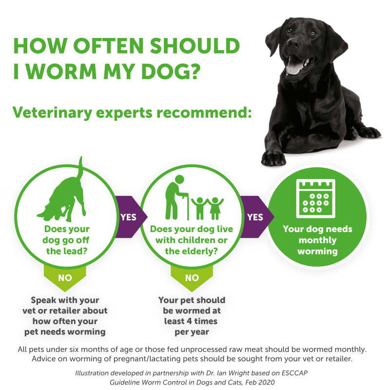 Drontal Tasty Bone XL Wormer Tablets Pet Supermarket