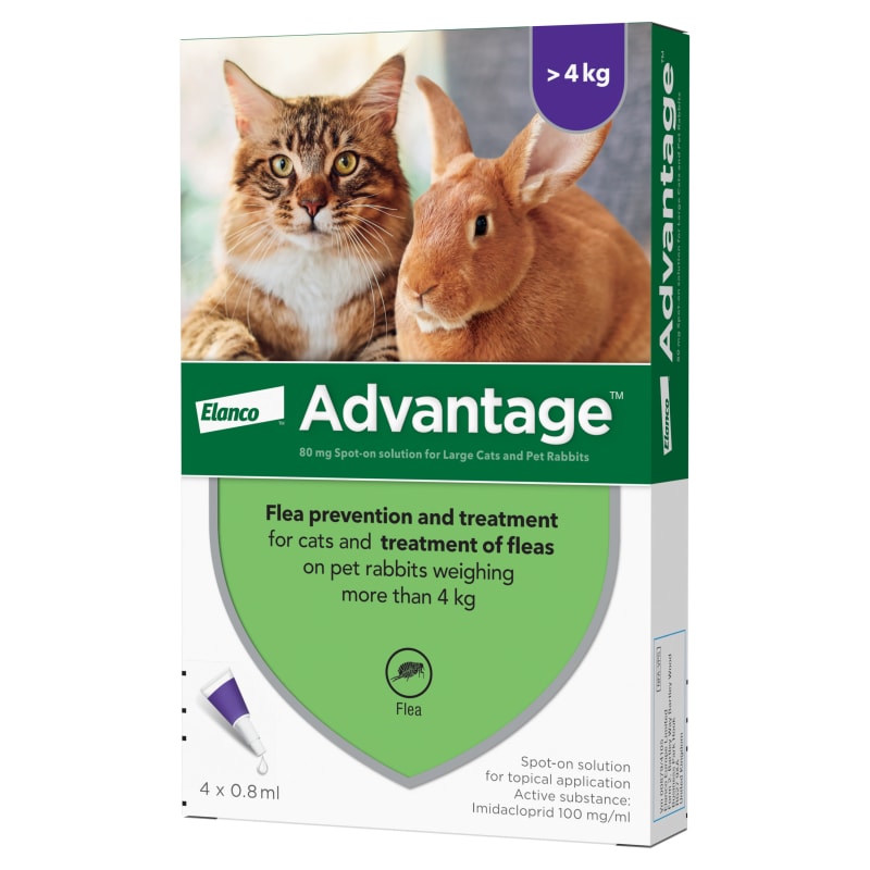 Flea treatment that works outlet