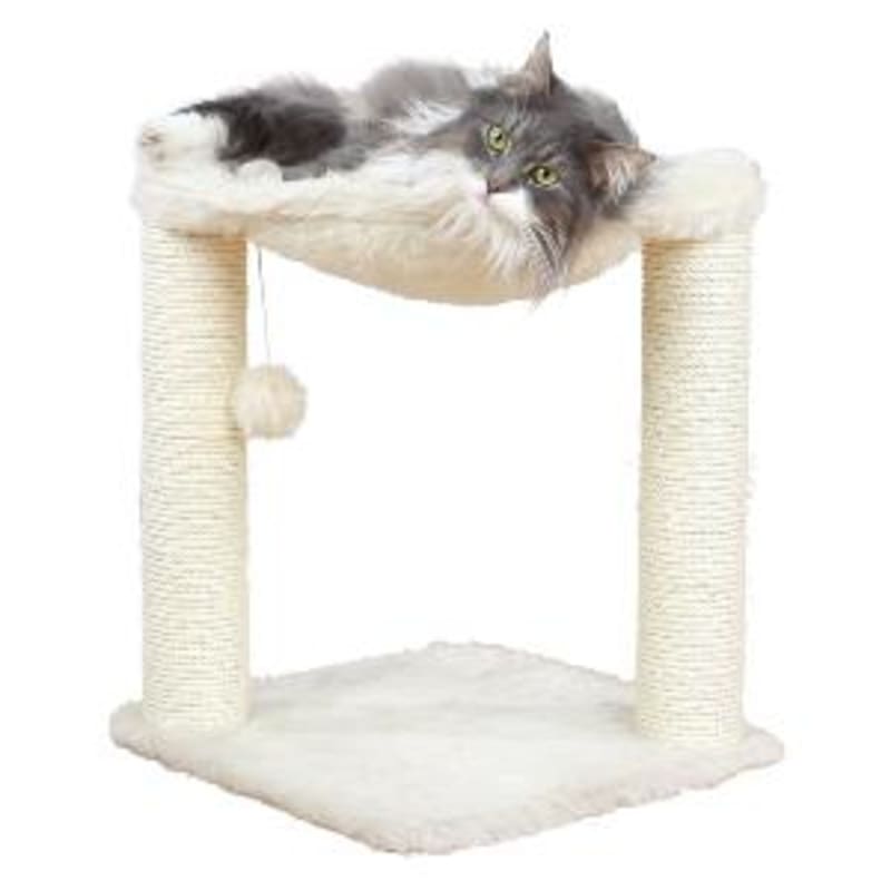 Trixie pet cat sale