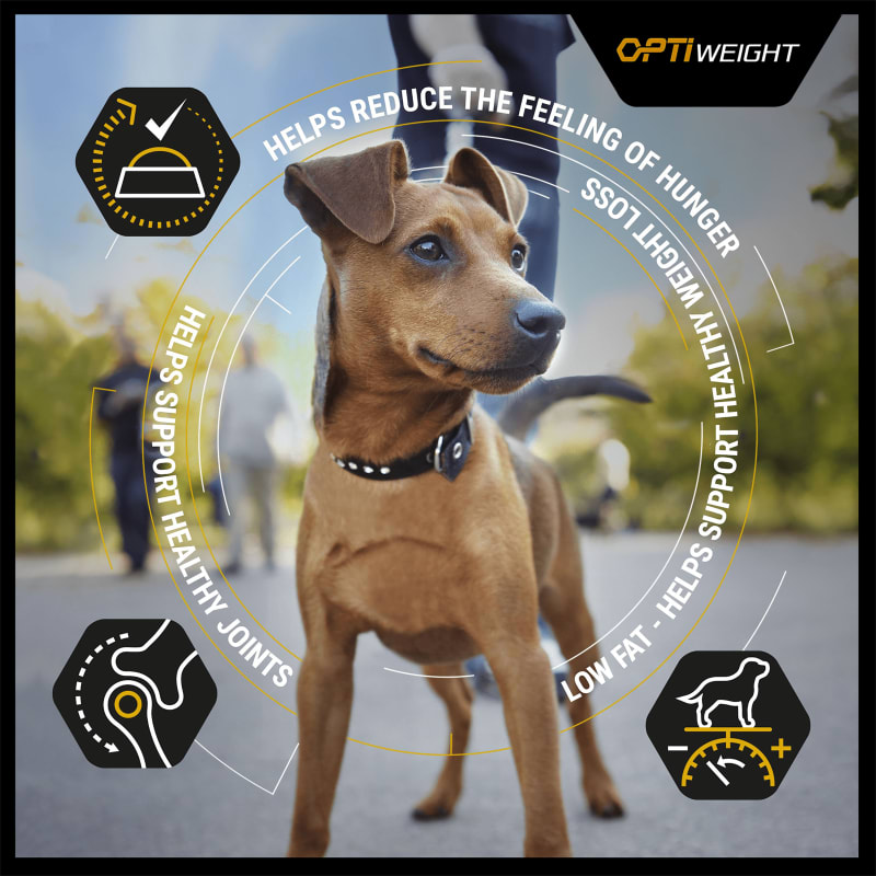 Pro plan optiweight hot sale