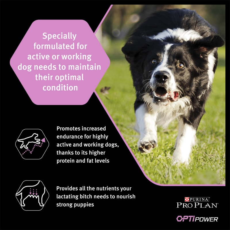Purina Pro Plan OptiPower Performance Adult Dry Dog Food Chicken 14kg Chicken