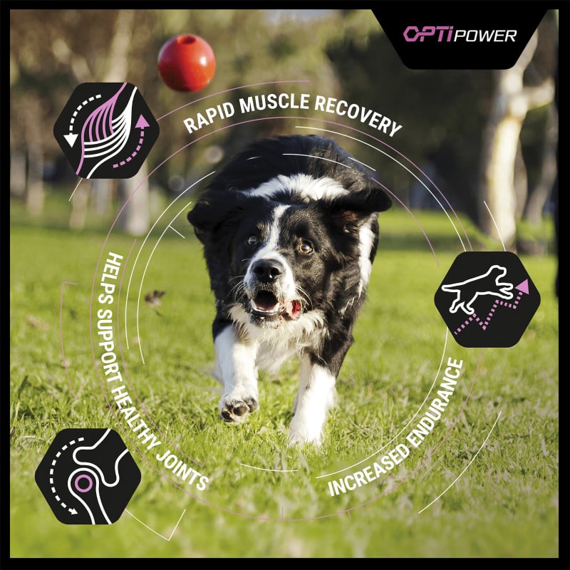 Pro sales plan optipower