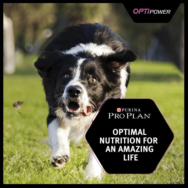Purina Pro Plan OptiPower Pet Supermarket