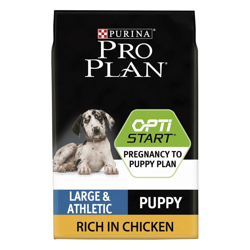 Purina large puppy online