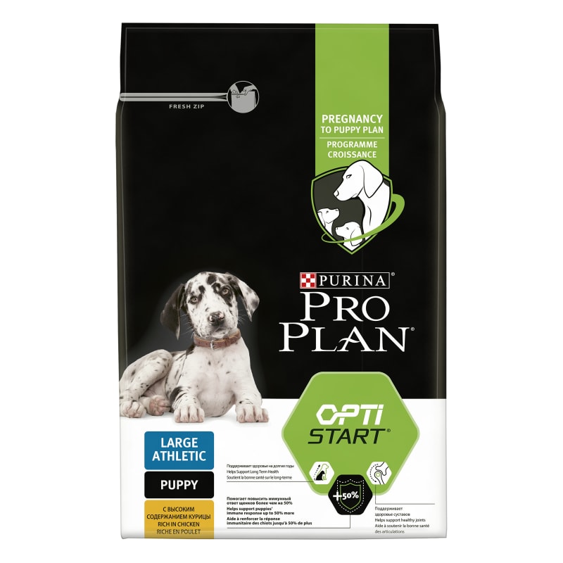 Purina focus store large breed puppy
