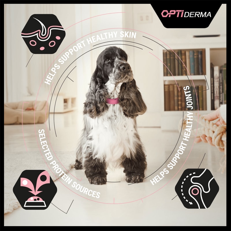 Purina Pro Plan OptiDerma Sensitive Pet Supermarket