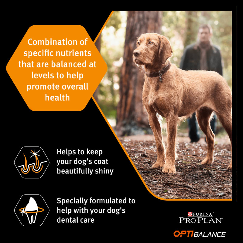 Pro health dog deals food