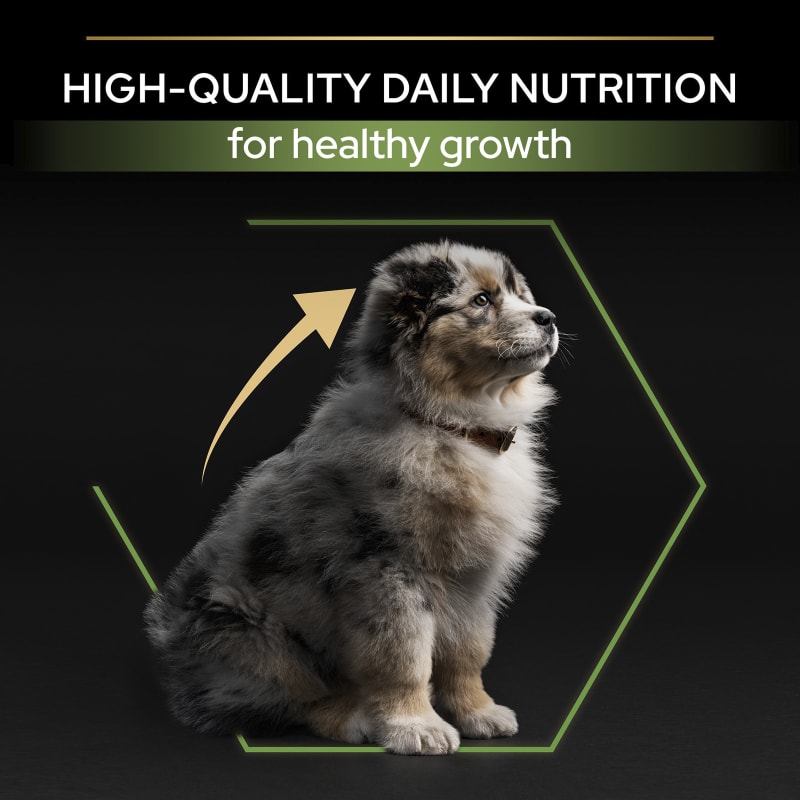 Pro plan purina medium puppy store