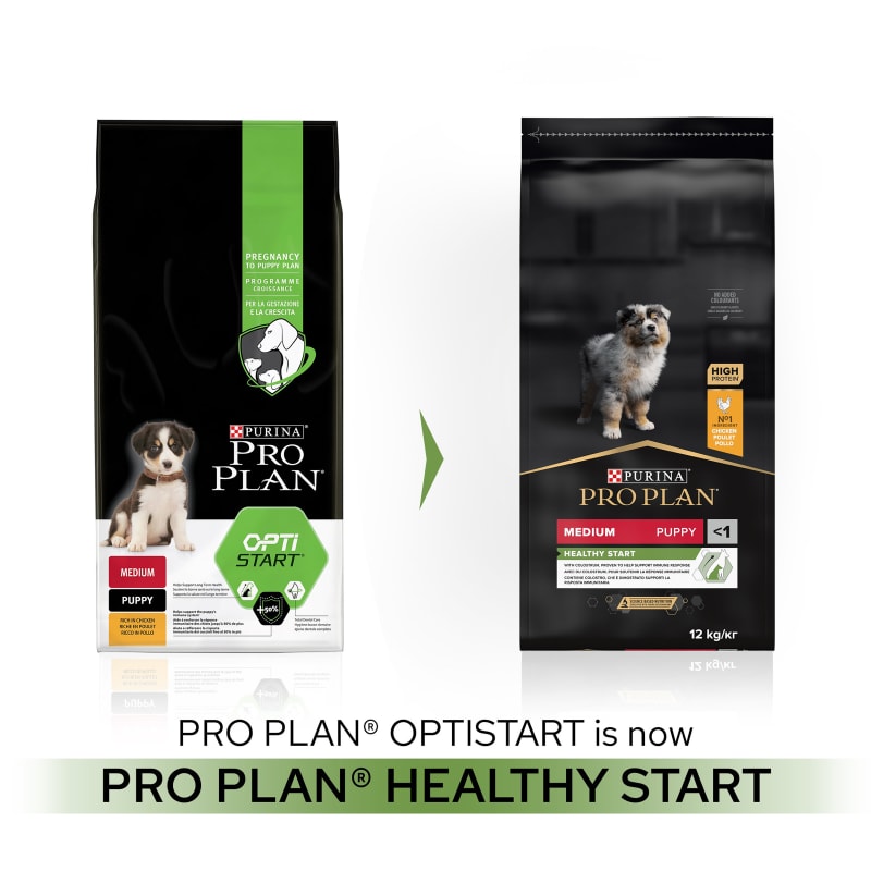 Purina pro plan starter online