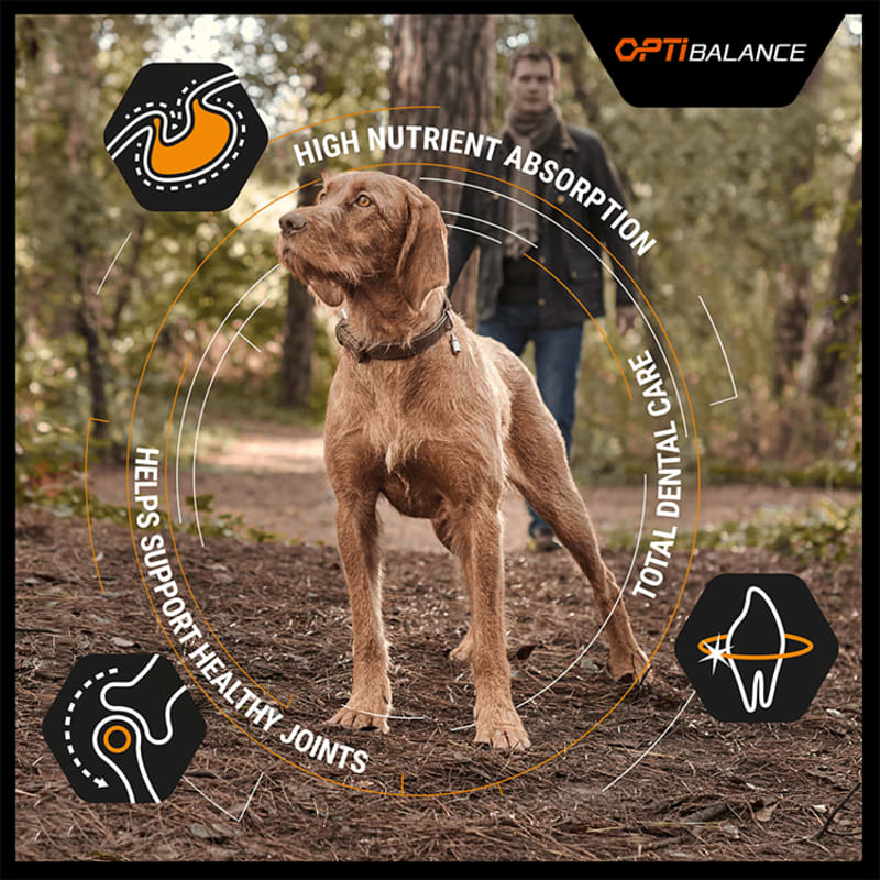 Purina pro plan dog food small breed online