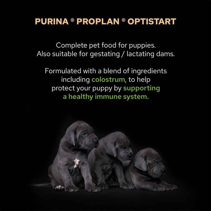 Purina PRO PLAN Small Mini Pet Supermarket
