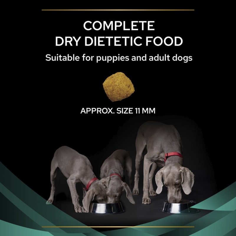 Purina gastrointestinal dry dog food sale
