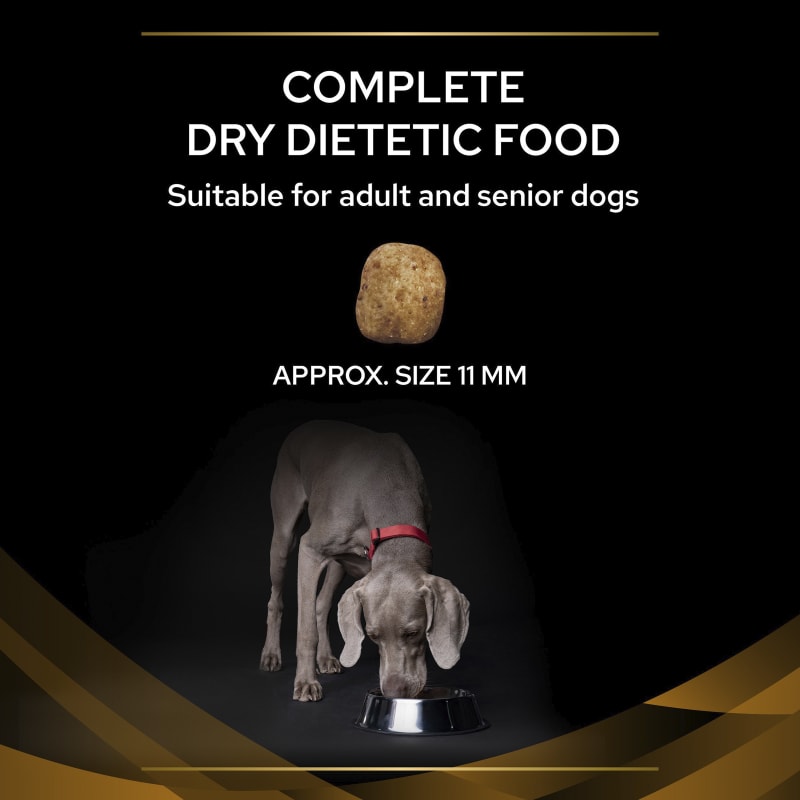 Purina nf best sale dog food