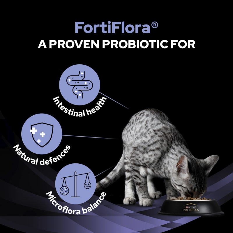 Probiotics for cats uk outlet