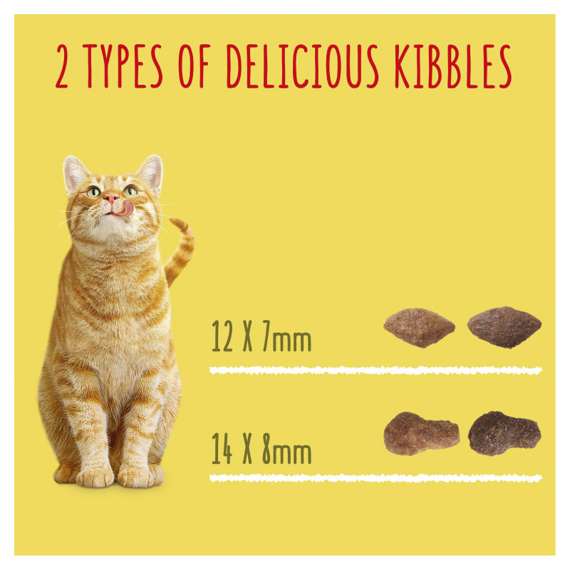 Purina cat food types outlet