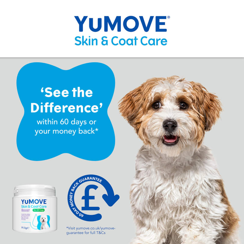 YuMOVE Skin Coat Care Boost Pet Supermarket