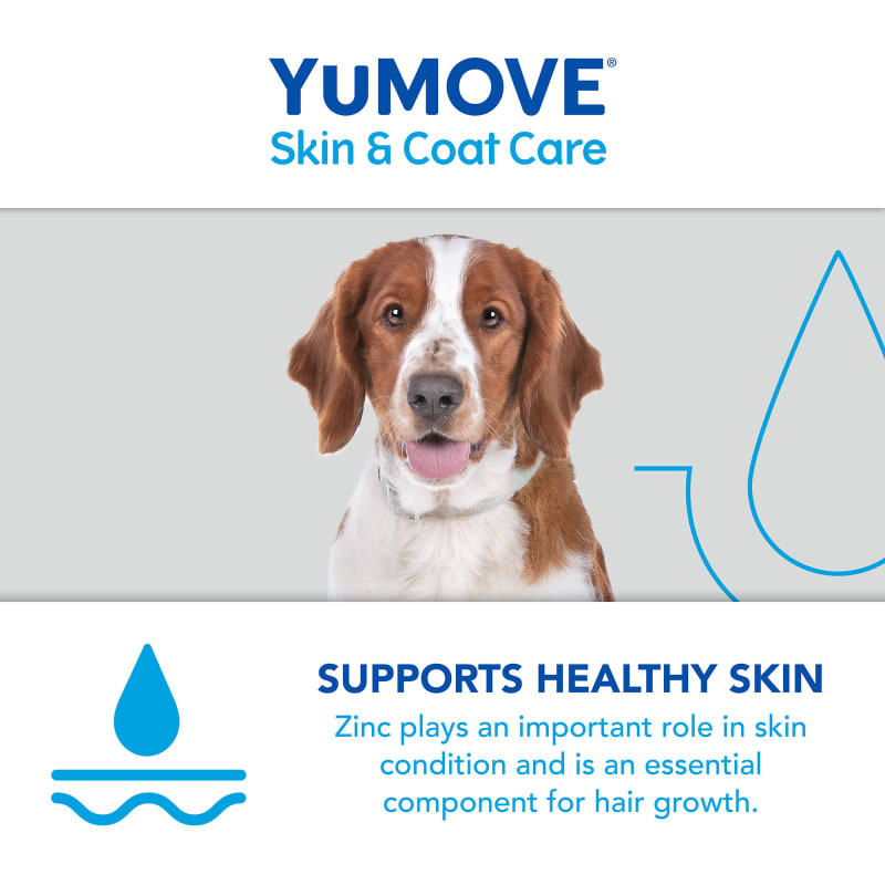 Yumega boost top for dogs