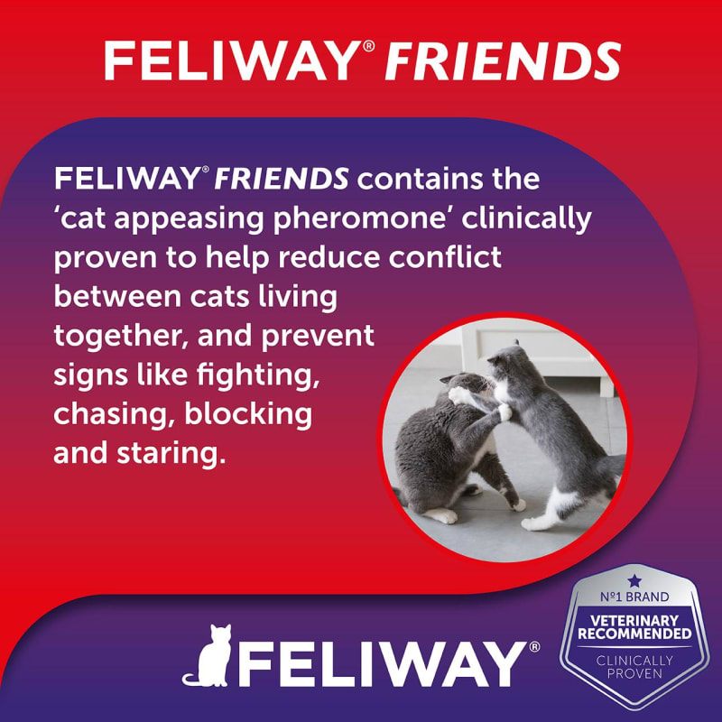 Feliway friends online refill best price