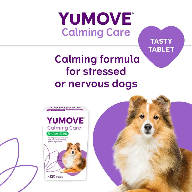 Dog calming 2024 tablets uk