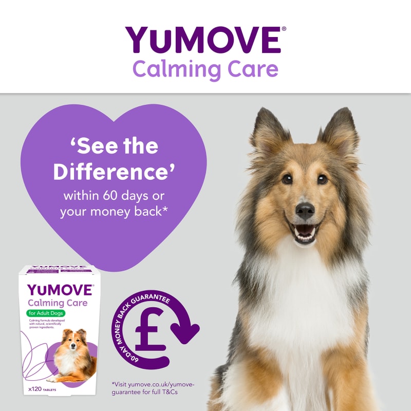 YuMOVE Calming Care Adult Dog Pet Supermarket