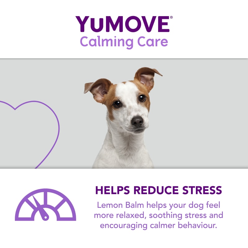 Calming care dogs clearance