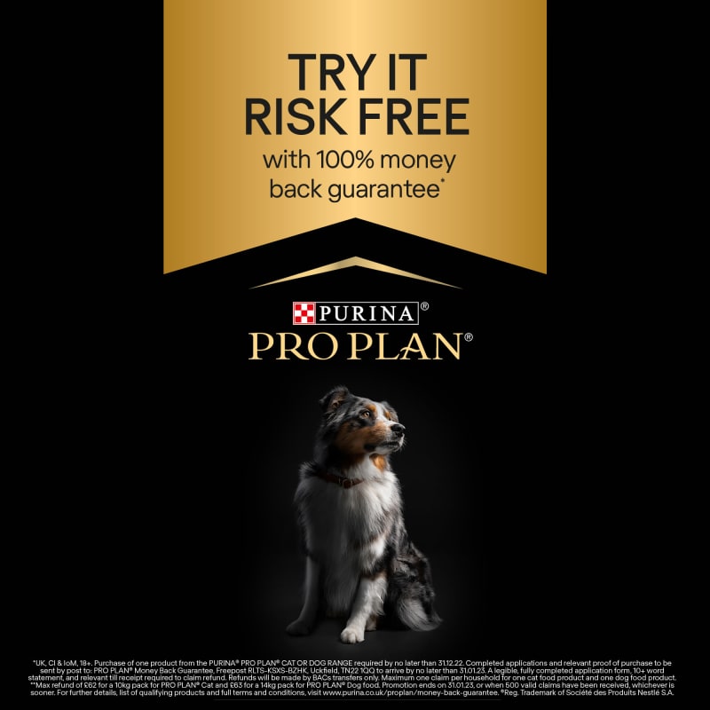 Free dog on sale tag purina