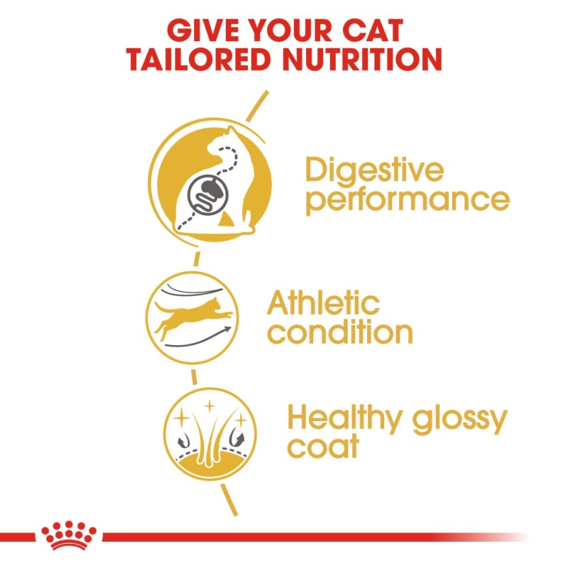 Royal canin bengal adult online