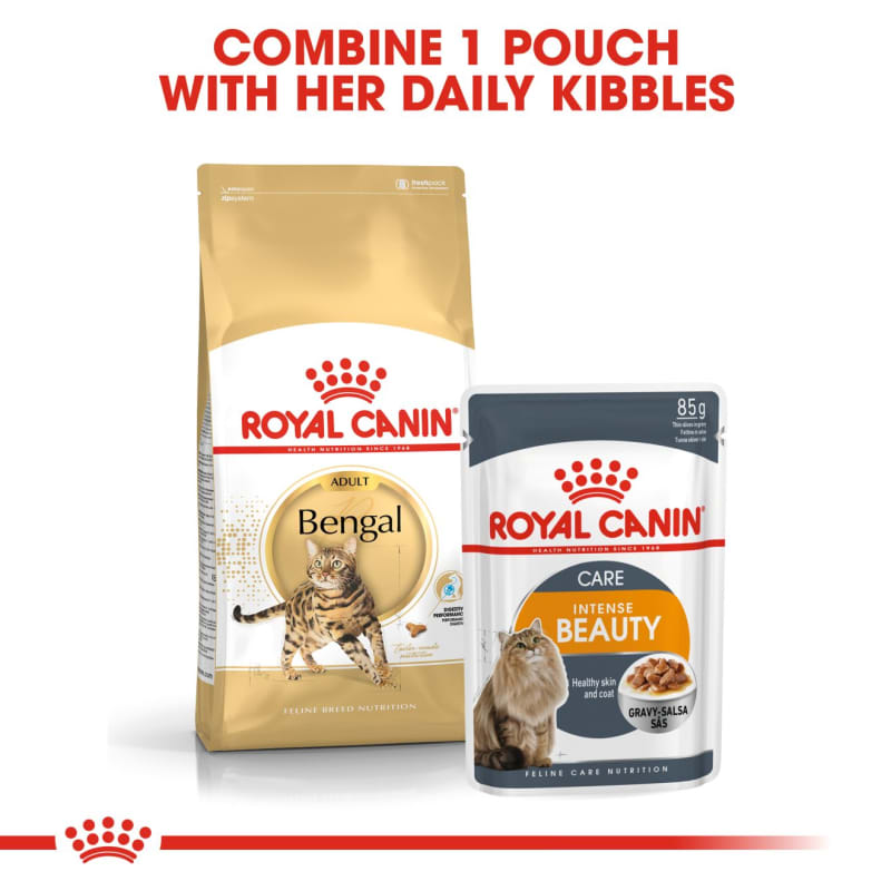 Royal canin bengal cat food clearance