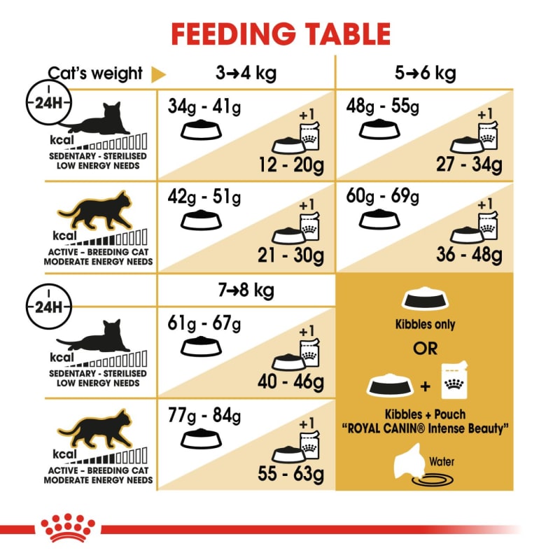 Royal store canin bengal