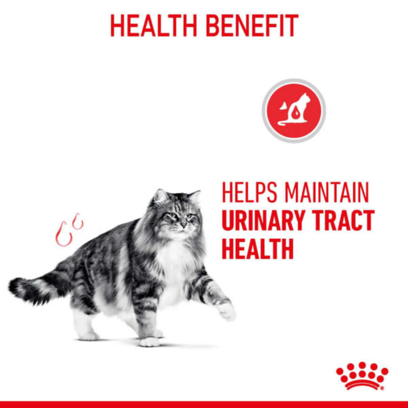 Royal canin feline urinary care on sale