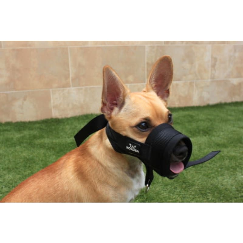 Dog muzzle leash clearance