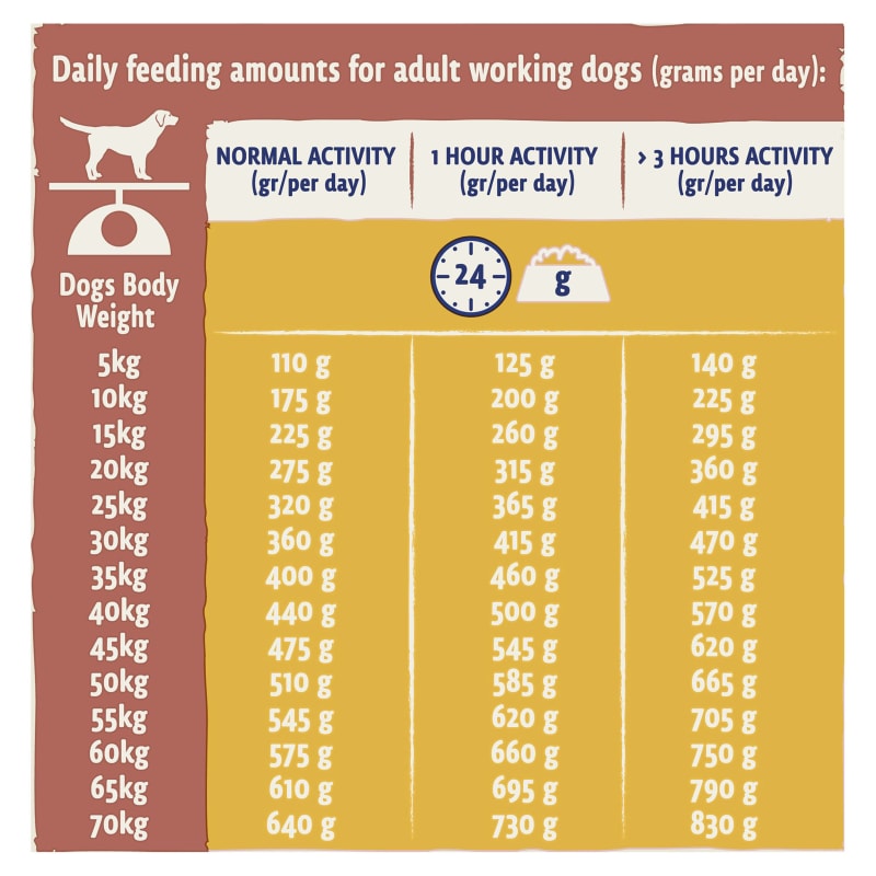 Purina Beta Working Adult Dry Dog Pet Supermarket