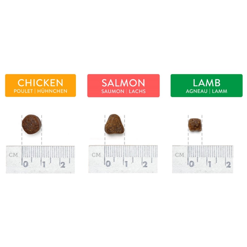 Canine choice deals dry dog food