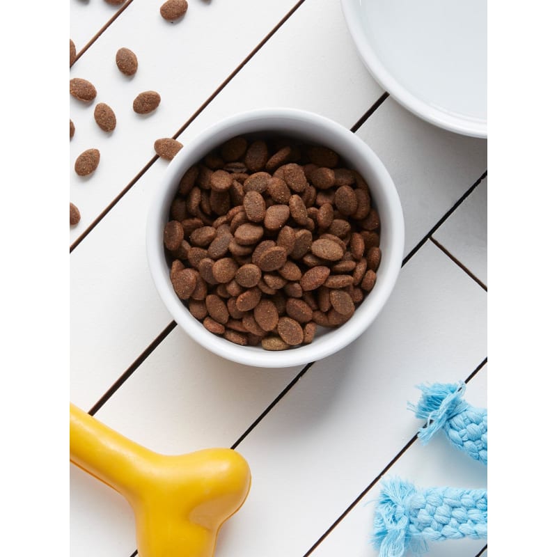 Nutro dog food sale uk