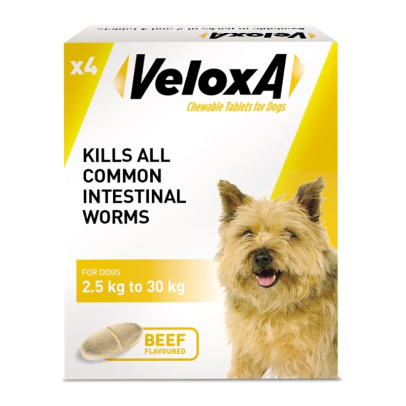 Asda pharmacy dog worming tablets hot sale
