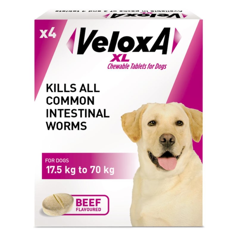 Chewable worming store tablets for dogs