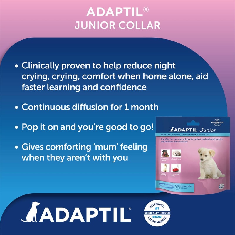 Adaptil junior hot sale