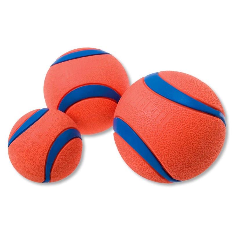 Chuckit ball small clearance