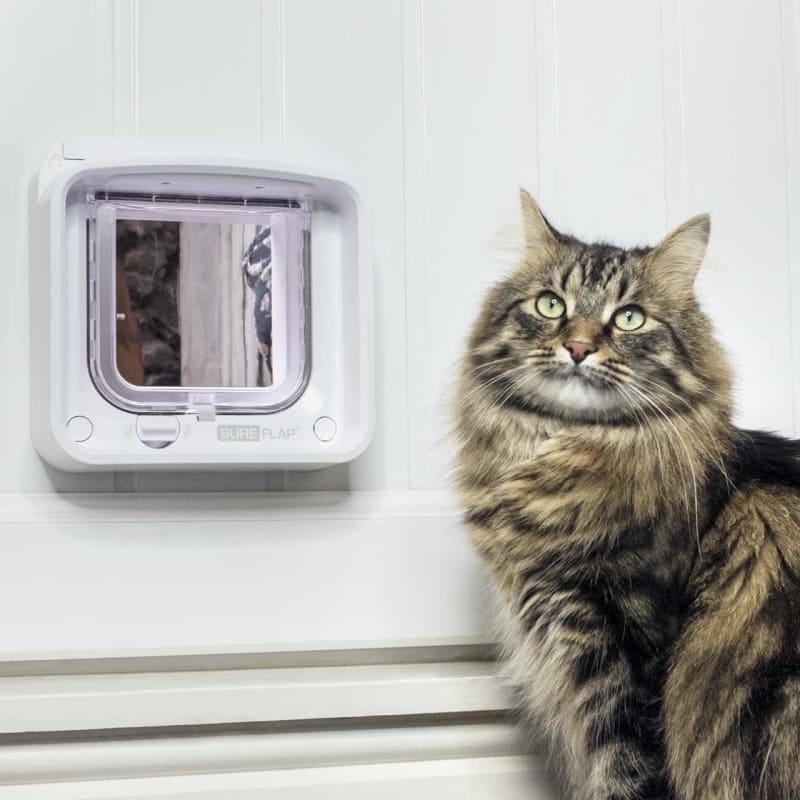 Mains powered new arrivals cat flap