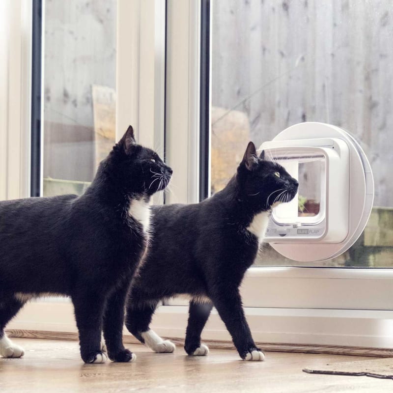 Smart flap microchip cat flap outlet