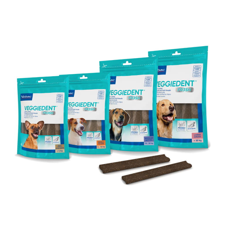Little store dog treats